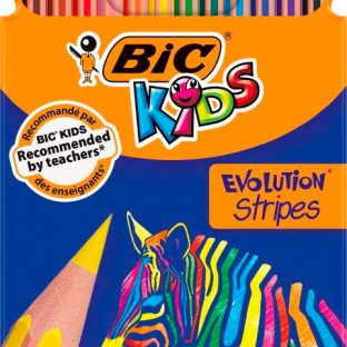 12 עפרונות צבעוניים EV.STRIPES – BIC