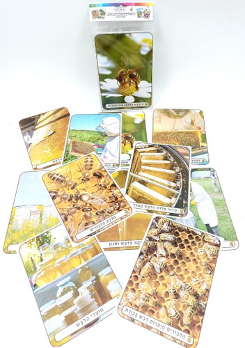 כרטיסיות לימוד - תהליך ייצור הדבש