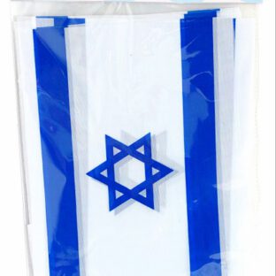שרשרת 8 דגלי ישראל מלבניים